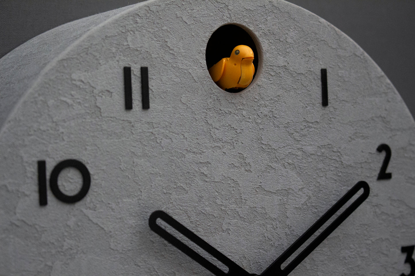 Concrete Cuckoo Clock – Minimalist Modern Wall Decor, Black Accent Designer Clock